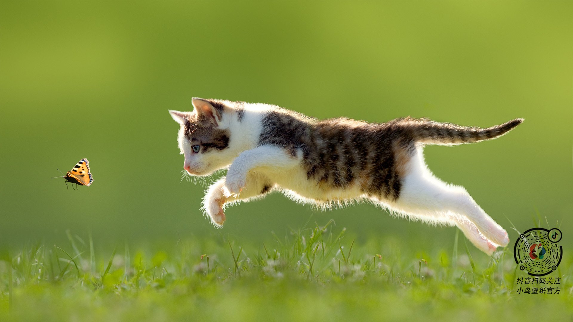 生死战中的英雄，欧文助广东队险胜爵士