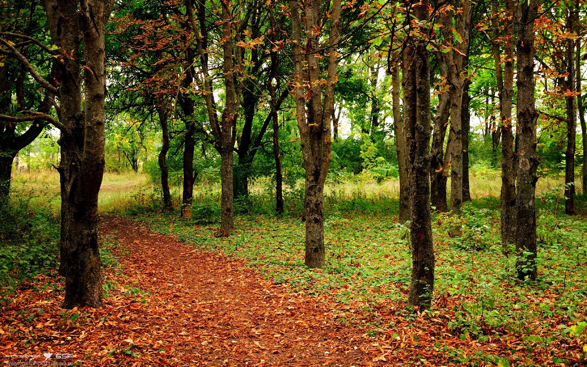 生死战萨内锋芒毕露，加拿大飞翼定乾坤，拜仁客胜AC米兰惊险晋级