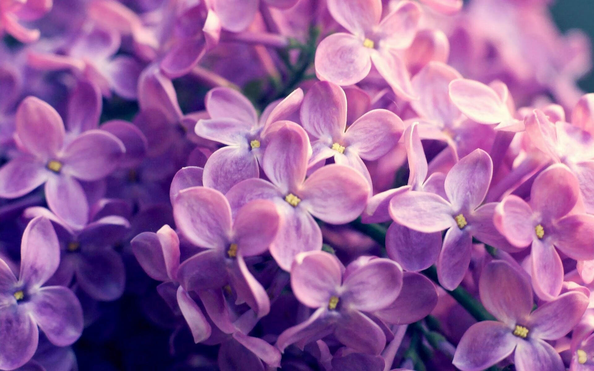 哥斯达黎加爆冷突围西班牙，基耶萨闪耀全场评分满分