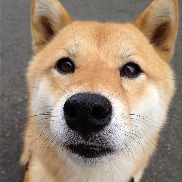 开云下载-绿茵交响诗,当德布劳内的手术刀,切开亚特兰大的铜墙铁壁