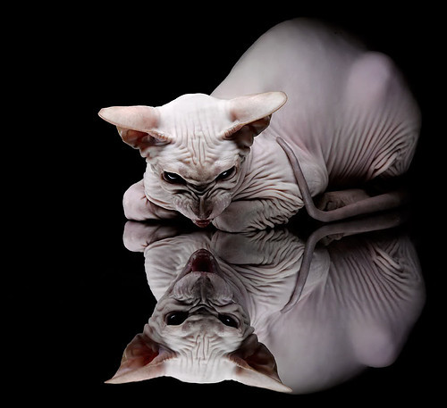 当证明时刻来临,黄喜灿与法国队各自的突围之路