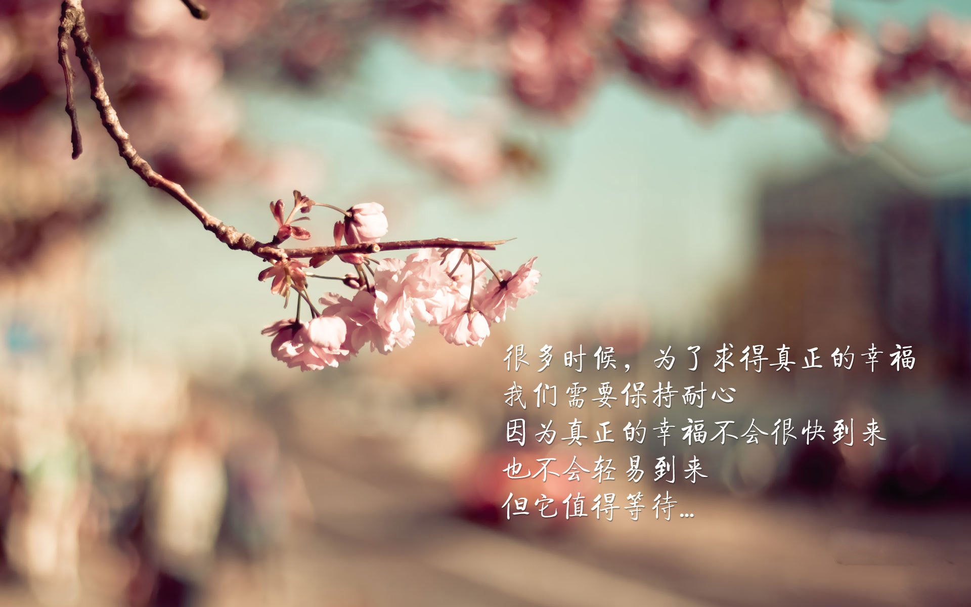 开云APP-意甲焦点战烽火连天,哥伦比亚强势踏平伊拉克