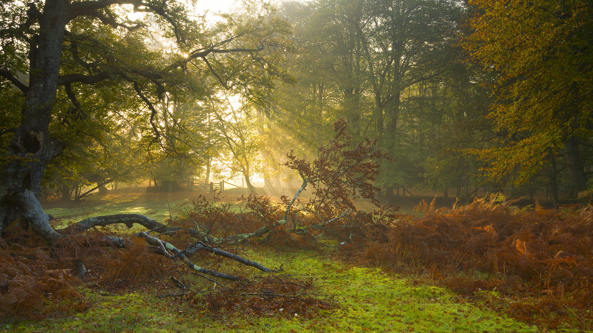 开云体育APP下载-伊比利亚鏖战，葡萄牙对决毕尔巴鄂，阿拉巴闪耀全场成焦点