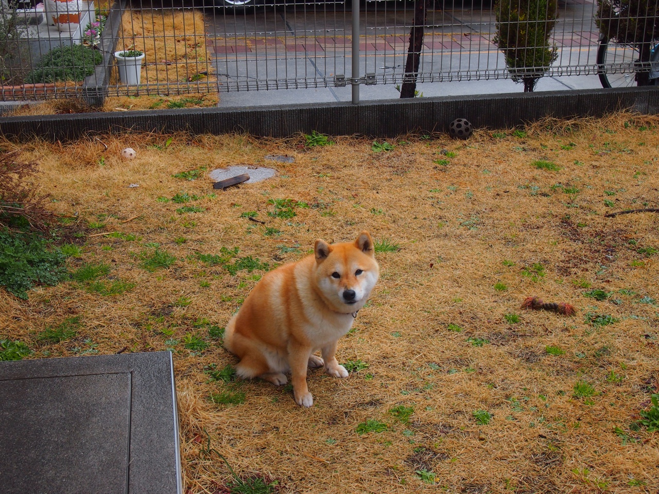 开云体育在线-撕裂之夜,英格拉姆一人击碎铁桶阵,红蓝军梦碎争冠路