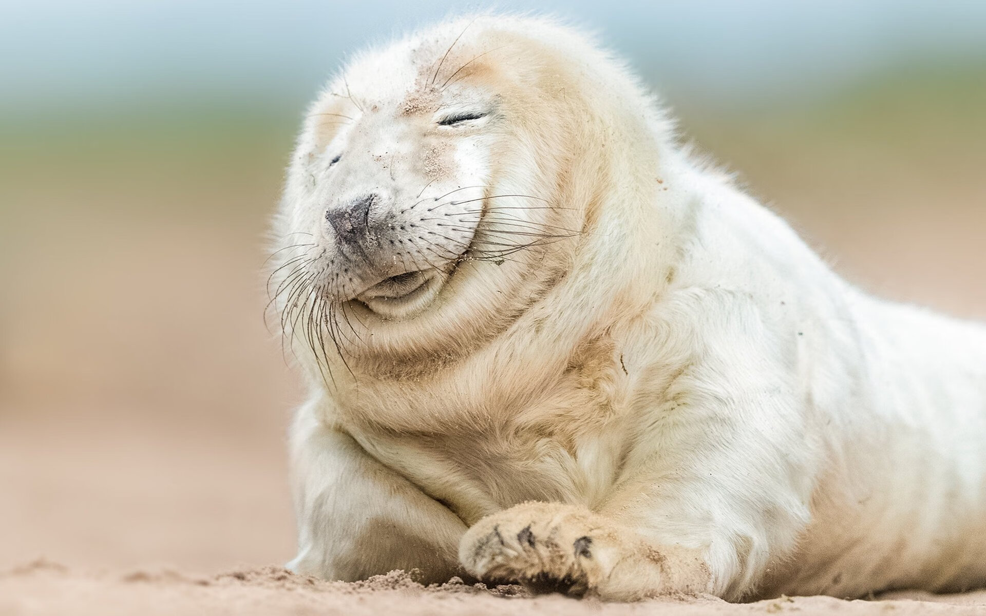 开云体育app-悬念终结者!卡瓦哈尔两次助攻,巴西右翼撕裂威尔士防线