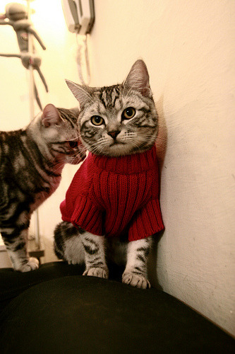 绝境中的英雄主义,从巴黎的压制到苏亚雷斯的接管