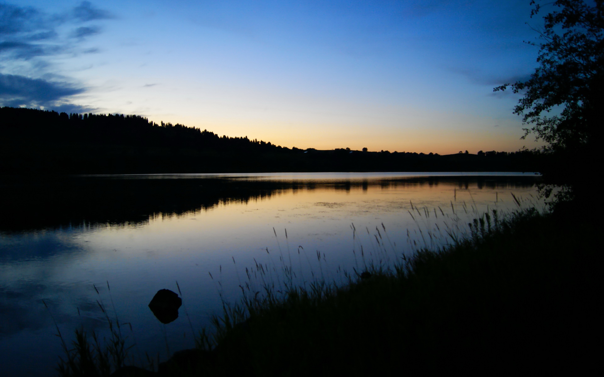 开云体育APP下载-凯塞多时刻,荷兰绝地翻盘威尔士,奥运周期关键战被他一人接管